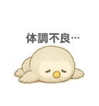 ふわふわふくろうの体調不良スタンプ（個別スタンプ：16）
