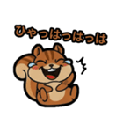 いつでも使える♪りすくんスタンプ（個別スタンプ：1）