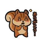いつでも使える♪りすくんスタンプ（個別スタンプ：11）
