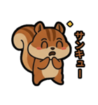 いつでも使える♪りすくんスタンプ（個別スタンプ：12）