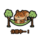 いつでも使える♪りすくんスタンプ（個別スタンプ：14）
