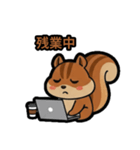 いつでも使える♪りすくんスタンプ（個別スタンプ：15）