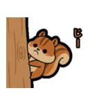 いつでも使える♪りすくんスタンプ（個別スタンプ：22）