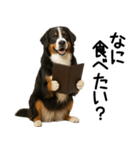 バーニーズマウンテンドッグ★家族連絡（個別スタンプ：2）