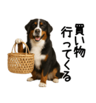 バーニーズマウンテンドッグ★家族連絡（個別スタンプ：6）