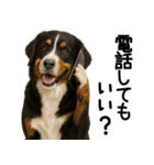 バーニーズマウンテンドッグ★家族連絡（個別スタンプ：29）