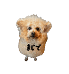 あいづちらむちゃ（個別スタンプ：8）