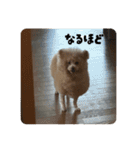 あいづちらむちゃ（個別スタンプ：11）