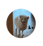 あいづちらむちゃ（個別スタンプ：18）