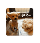 あいづちらむちゃ（個別スタンプ：23）