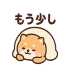 ベッドでごろごろ犬さんのご連絡（個別スタンプ：2）