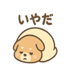 ベッドでごろごろ犬さんのご連絡（個別スタンプ：12）
