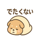 ベッドでごろごろ犬さんのご連絡（個別スタンプ：13）