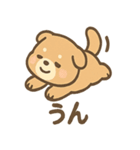 ベッドでごろごろ犬さんのご連絡（個別スタンプ：18）