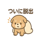 ベッドでごろごろ犬さんのご連絡（個別スタンプ：19）
