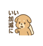 ベッドでごろごろ犬さんのご連絡（個別スタンプ：22）