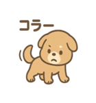 ベッドでごろごろ犬さんのご連絡（個別スタンプ：24）