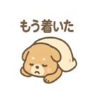 ベッドでごろごろ犬さんのご連絡（個別スタンプ：38）