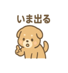 ベッドでごろごろ犬さんのご連絡（個別スタンプ：39）