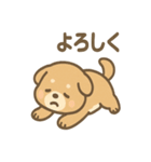 ベッドでごろごろ犬さんのご連絡（個別スタンプ：40）