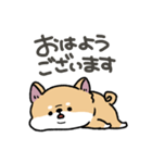とけてる犬の柴犬(赤)（個別スタンプ：1）