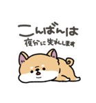 とけてる犬の柴犬(赤)（個別スタンプ：3）