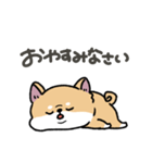 とけてる犬の柴犬(赤)（個別スタンプ：4）