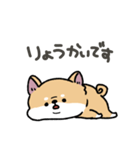 とけてる犬の柴犬(赤)（個別スタンプ：6）