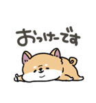 とけてる犬の柴犬(赤)（個別スタンプ：7）
