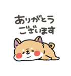 とけてる犬の柴犬(赤)（個別スタンプ：9）