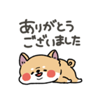 とけてる犬の柴犬(赤)（個別スタンプ：10）