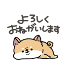 とけてる犬の柴犬(赤)（個別スタンプ：12）