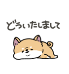 とけてる犬の柴犬(赤)（個別スタンプ：13）