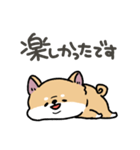 とけてる犬の柴犬(赤)（個別スタンプ：16）