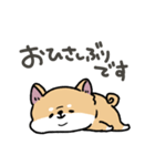 とけてる犬の柴犬(赤)（個別スタンプ：17）