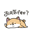 とけてる犬の柴犬(赤)（個別スタンプ：18）