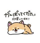 とけてる犬の柴犬(赤)（個別スタンプ：19）