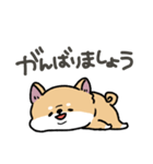 とけてる犬の柴犬(赤)（個別スタンプ：20）