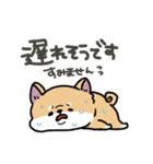 とけてる犬の柴犬(赤)（個別スタンプ：22）
