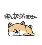 とけてる犬の柴犬(赤)（個別スタンプ：23）