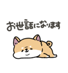 とけてる犬の柴犬(赤)（個別スタンプ：29）