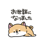 とけてる犬の柴犬(赤)（個別スタンプ：30）