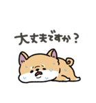 とけてる犬の柴犬(赤)（個別スタンプ：31）