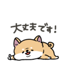 とけてる犬の柴犬(赤)（個別スタンプ：32）