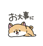 とけてる犬の柴犬(赤)（個別スタンプ：33）
