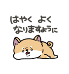 とけてる犬の柴犬(赤)（個別スタンプ：34）