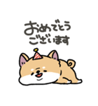 とけてる犬の柴犬(赤)（個別スタンプ：37）