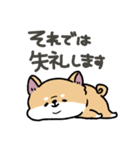 とけてる犬の柴犬(赤)（個別スタンプ：39）