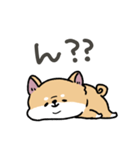 とけてる犬の柴犬(赤)（個別スタンプ：40）