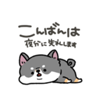 とけてる犬の柴犬(黒)（個別スタンプ：3）